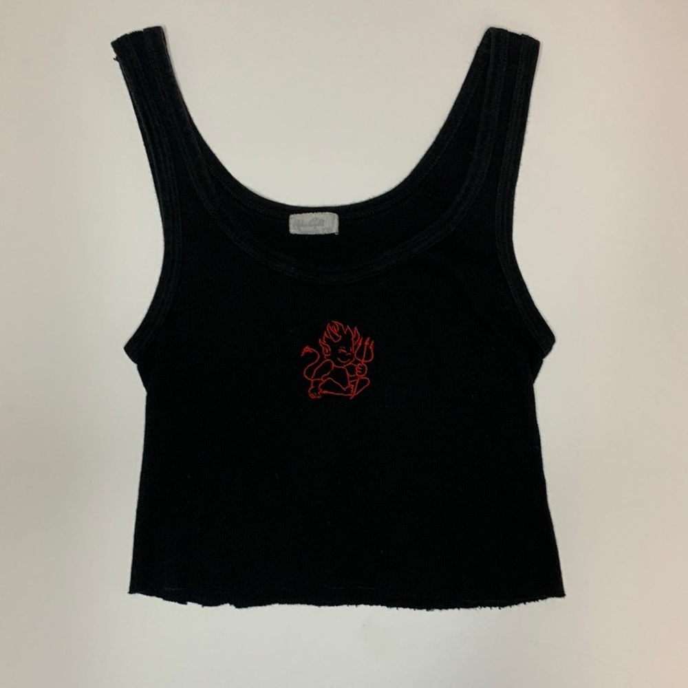 Brandy Melville Crop Top